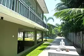 موی دامبولا